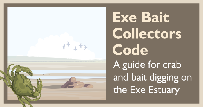 An illustration of mudflats with a Shore Crab and the title "Exe Bait Collectors Code"