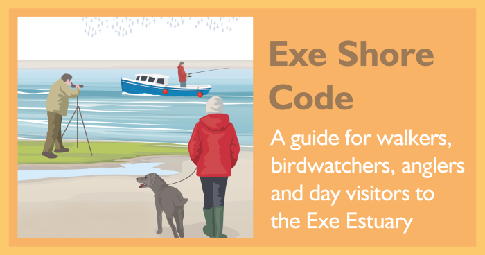 An illustration of some different activities such as dog walking and bird watching with the title "Exe Shore Code"