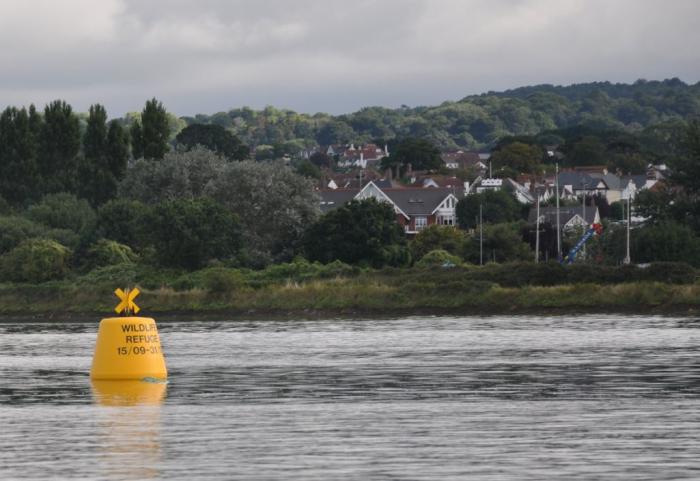 A photograph from the water of part of the Exe Estuary, showing one of the wildlife refuge buoys and the shoreline in the background