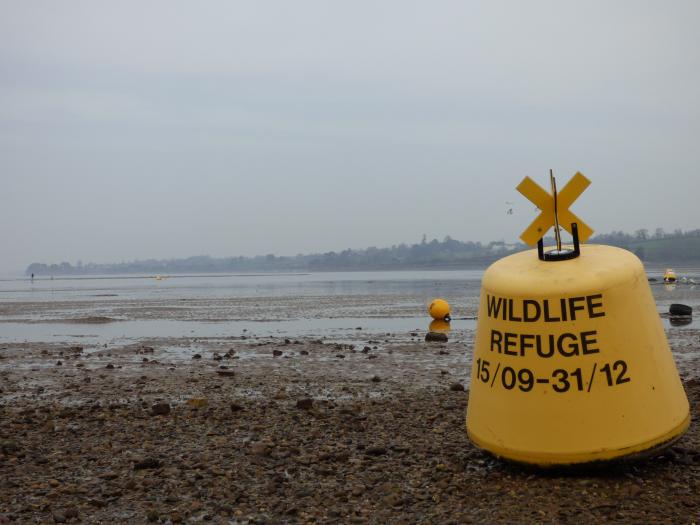 Picture of wildlife refuge buoy on the foreshore