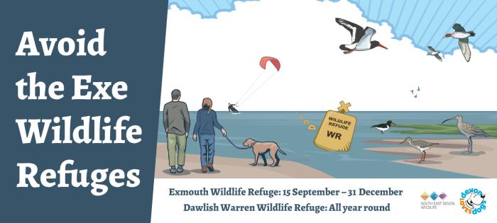 Exe Wildlife Refuge Banner, a scene of wildlife and humans sharing the estuary