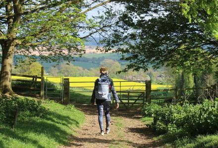 A countryside view of a colourful meadow and person walking