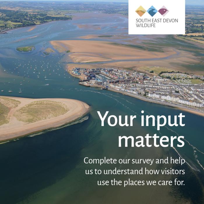 Photo of the Exe Estuary for visitor survey