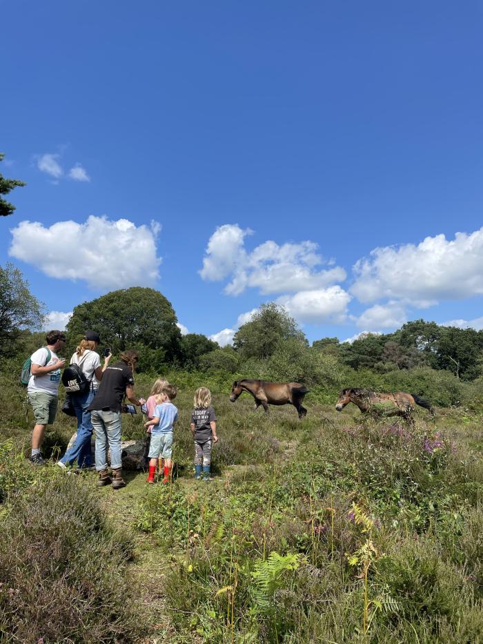 A photo of a family on the heaths during heathweek (ponies in background)