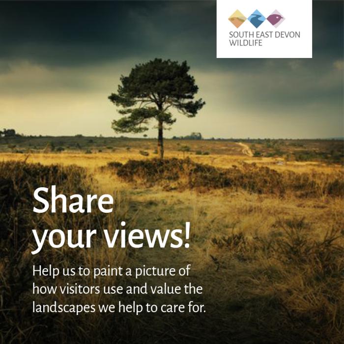 Visitor Survey, Pebblebed Heaths in photo