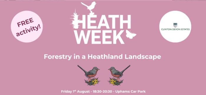 Heathweek Forestry in a Heathland Landscape illustration