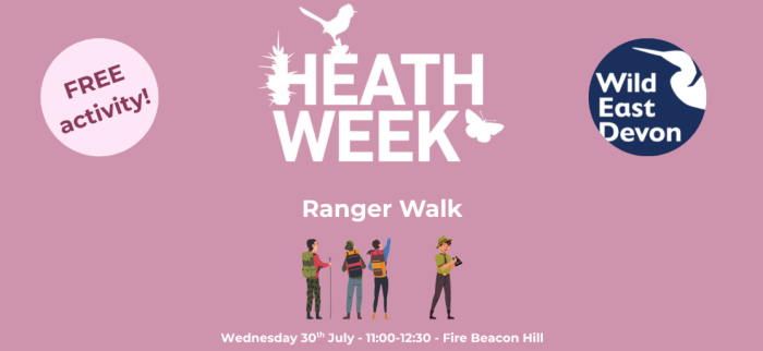 Heathweek Ranger walk illustration