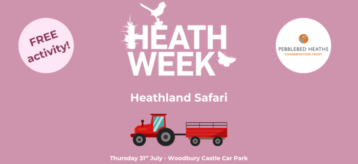 Heathweek Heathland safari illustration