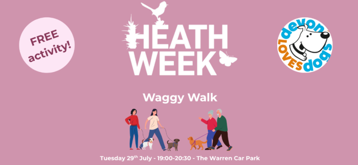 Heathweek Waggy walk illustration