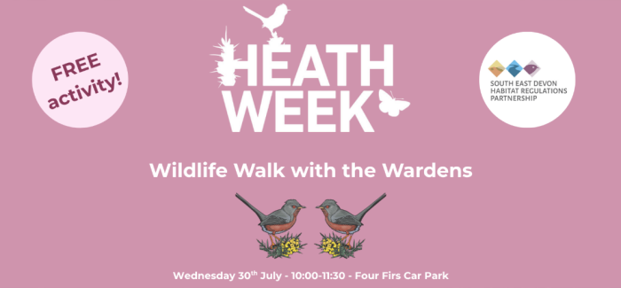 Heathweek Wildlife walk Wardens illustration