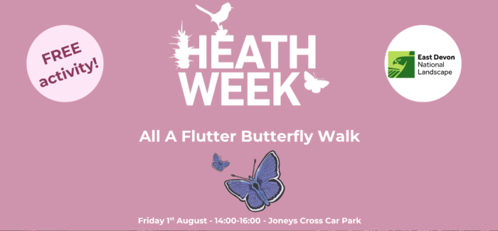 Heathweek All a flutter butterfly walk illustration