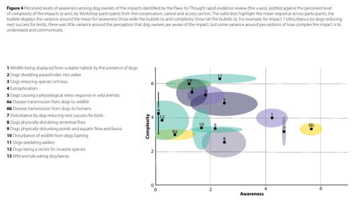 A graph showing awareness of dog owners 
