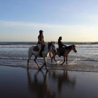 Two horse riders on horses walking on a beach