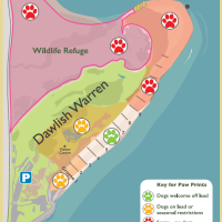 An illustrated map of Dawlish Warren showing which areas dogs are allowed in.