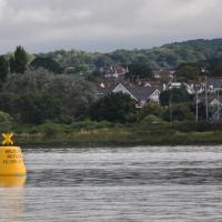 A photograph from the water of part of the Exe Estuary, showing one of the wildlife refuge buoys and the shoreline in the background