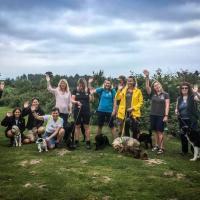 A photo of a group of dog walkers on a guided walk at the Pebblebed Heaths
