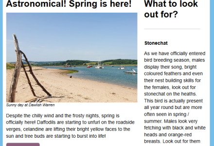 Spring 2025 screenshot