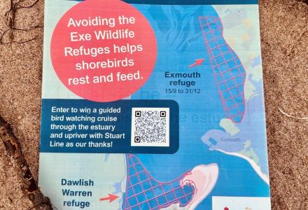 Win a wildlife cruise on the Exe Estuary 