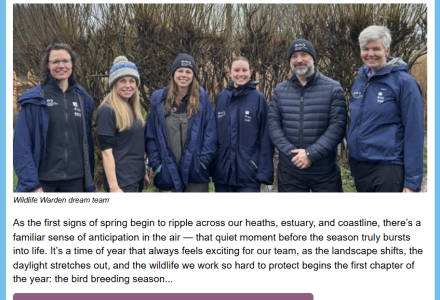 spring 2026 newsletter