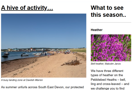 summer 2026 newsletter