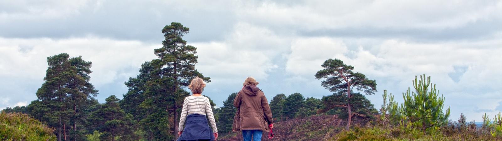 A photograph of some people walking on the heaths
